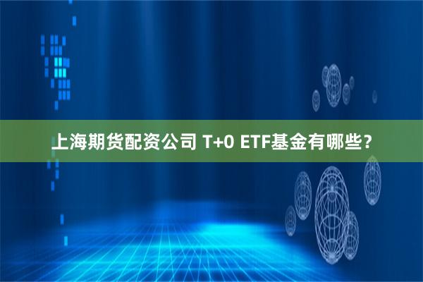 上海期货配资公司 T+0 ETF基金有哪些？