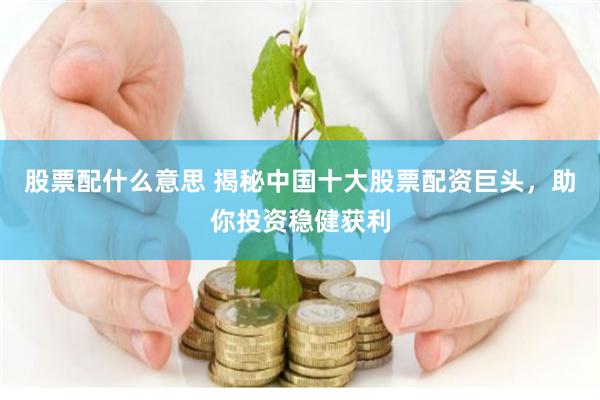 股票配什么意思 揭秘中国十大股票配资巨头，助你投资稳健获利